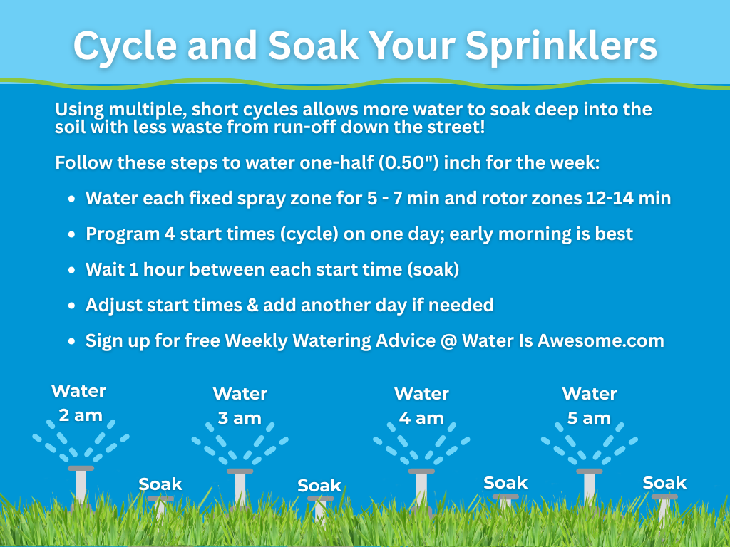 Cycle-and-Soak-Image-1024-x-768-px.png#asset:1541 Cycle-and-Soak-Image-1024-x-768-px.png#asset:1541