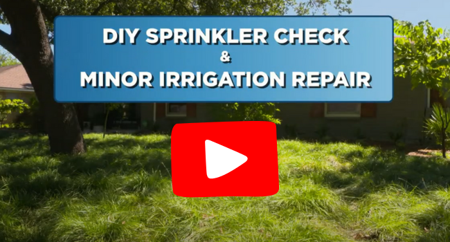 DIY-Sprinkler-Check-and-Repair.png#asset:1543