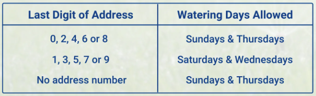 example-watering-schedule.png#asset:1536 example-watering-schedule.png#asset:1536